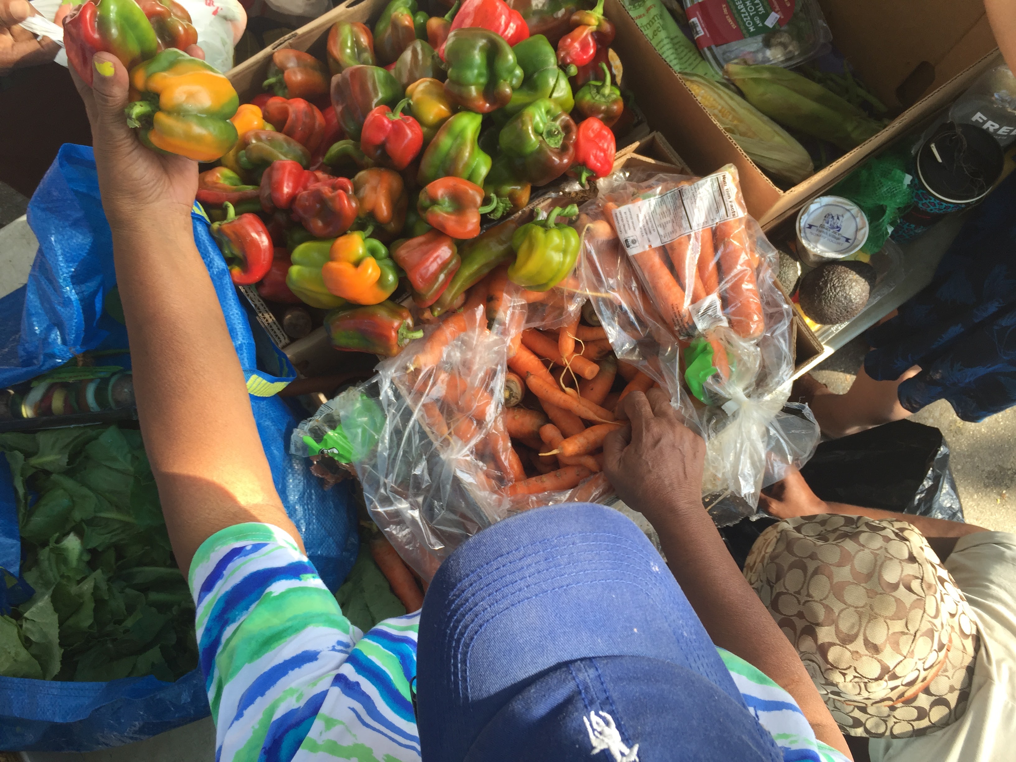 Sharing peppers at the Community Solidarity Bedstuy Food Share