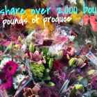 Community Solidarity shares flowers year round.
